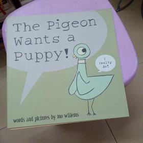 英文原版 凯奖作家Mo Willems经典作品 Pigeon 鸽子系列 绘本6册 3-9岁——a