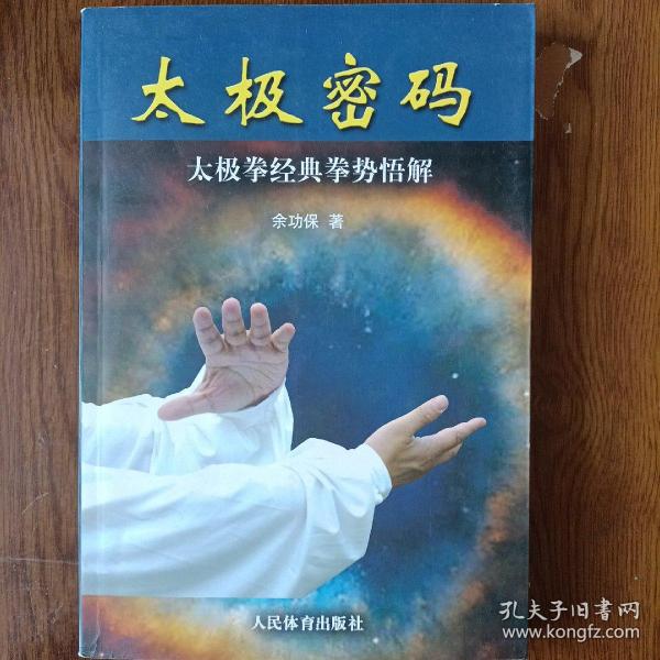 太极密码：太极拳经典拳势悟解