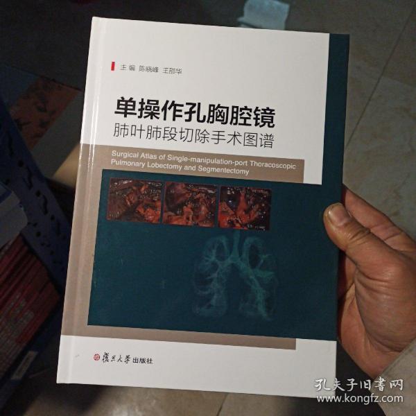 单操作孔胸腔镜肺叶肺段切除手术图谱