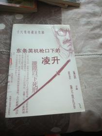 东条英机枪口下的凌升