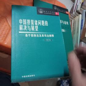 中国担保诸问题的解决与展望