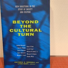 Beyond the Cultural Turn