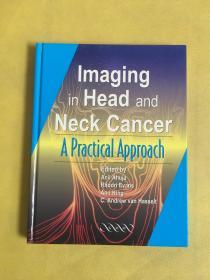 Imaging in Head and Neck Cancer: A Practical approach（精裝 英文原版）頭頸部腫瘤的影像學(xué)研究：一種實用的方法