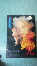 当代世界文学丛译【魔咒】单本