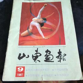 山东画报