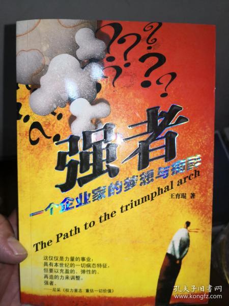 强者：一个企业家的梦想与痴醉