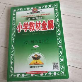 金星教育 小学教材全解：语文（六年级下 人教版）