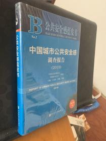 中国城市公共安全感调查报告（，2019）/公共安全感蓝皮书