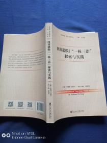 四川德阳“一核三治”探索与实践