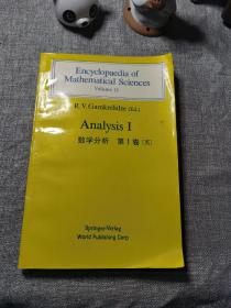 analysis I 数学分析 第1卷 英文版