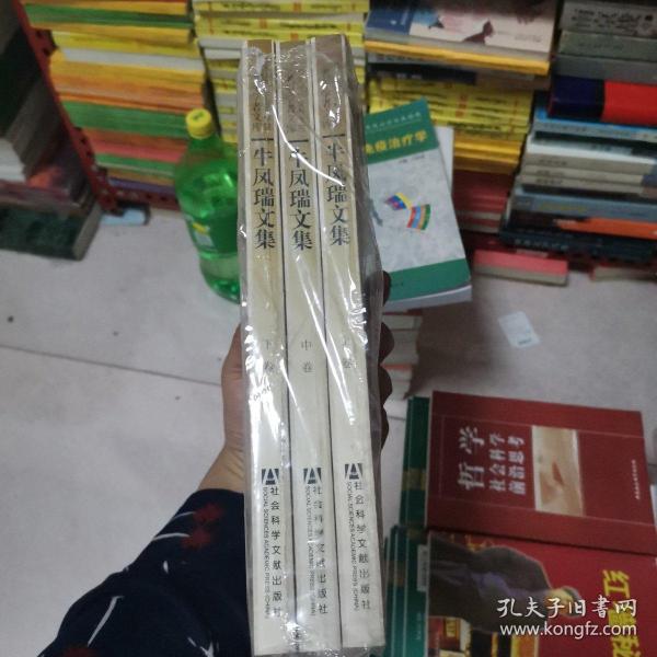 牛凤瑞文集