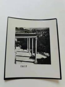 云南大学校园风景  黑白老照片 原版。.8厘米。