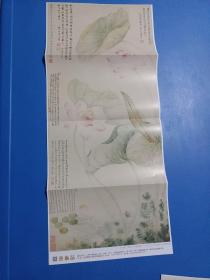 (清)唐炗、恽寿平《红莲绿藻图》(约25*60厘米)