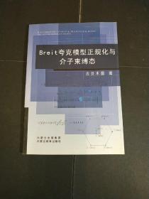 Breit夸克模型正规化与介子束缚态