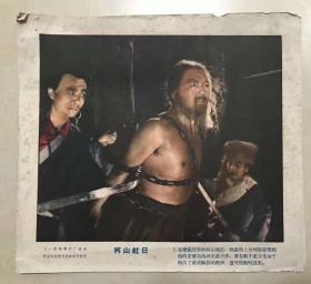 电影海报~老剧照~柯山红日