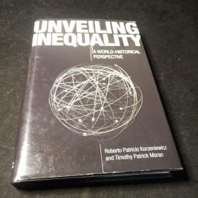 Unveiling Inequality：A World-Historical Perspective