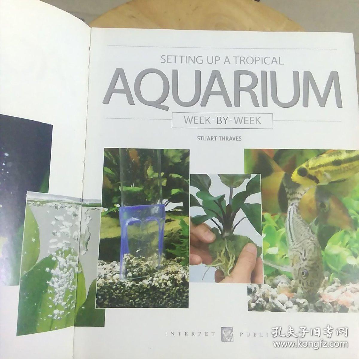 SETTING UP A TROPICAL AQUARIUM
构建一个热带水族馆（102）