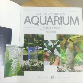 SETTING UP A TROPICAL AQUARIUM
构建一个热带水族馆（102）