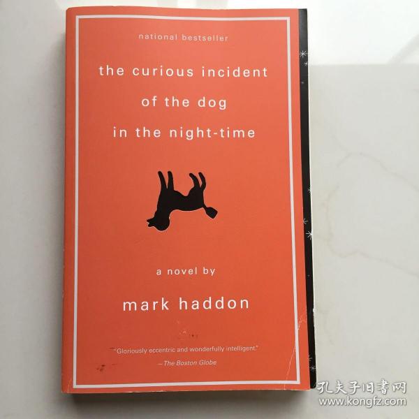 The Curious Incident of the Dog in the Night-Time