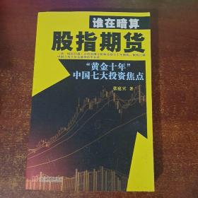 谁在暗算股指期货：“黄金十年”中国七大投资焦点