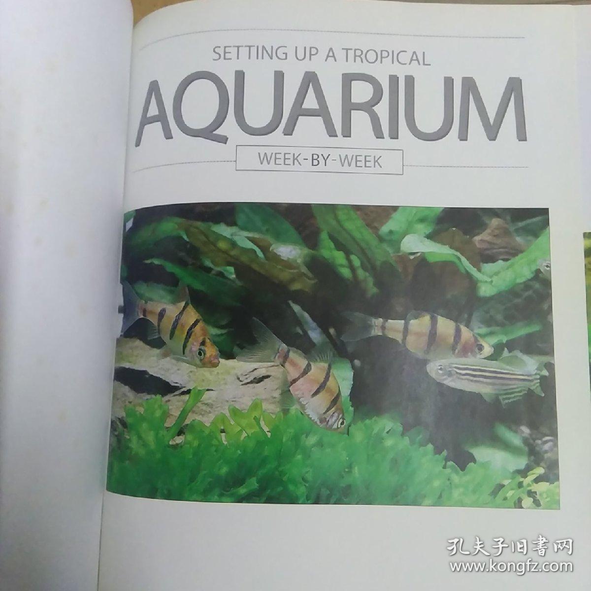 SETTING UP A TROPICAL AQUARIUM
构建一个热带水族馆（102）