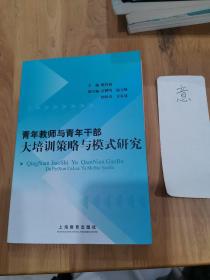 青年教师与青年干部大培训策略与模式研究