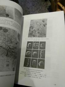 【硬精装一版一印447页；内页干净无笔迹】受精生物学:受精机制与生殖工程  陈大元 科学出版社 9787030085047【鑫文旧书店欢迎,量大从优】