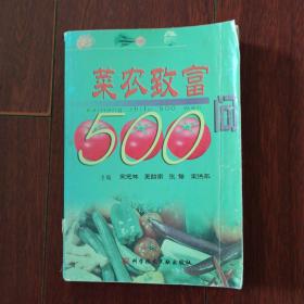 菜农致富 500 问