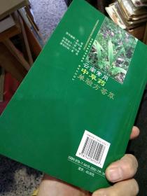 【2007年版本；彩页图文版210页；内页干净无笔迹】云南常用中草药单验方荟萃【共收录200种云南中药材】 刘毅,陈羲之 云南科学技术出版社 9787541625527【鑫文旧书店欢迎,量大从优】