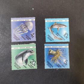 韩国邮票 ·海豚、鲨鱼、水母邮票4枚   精美动物邮票，尺寸3.3×3.3公分