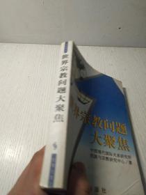 世界宗教问题大聚焦