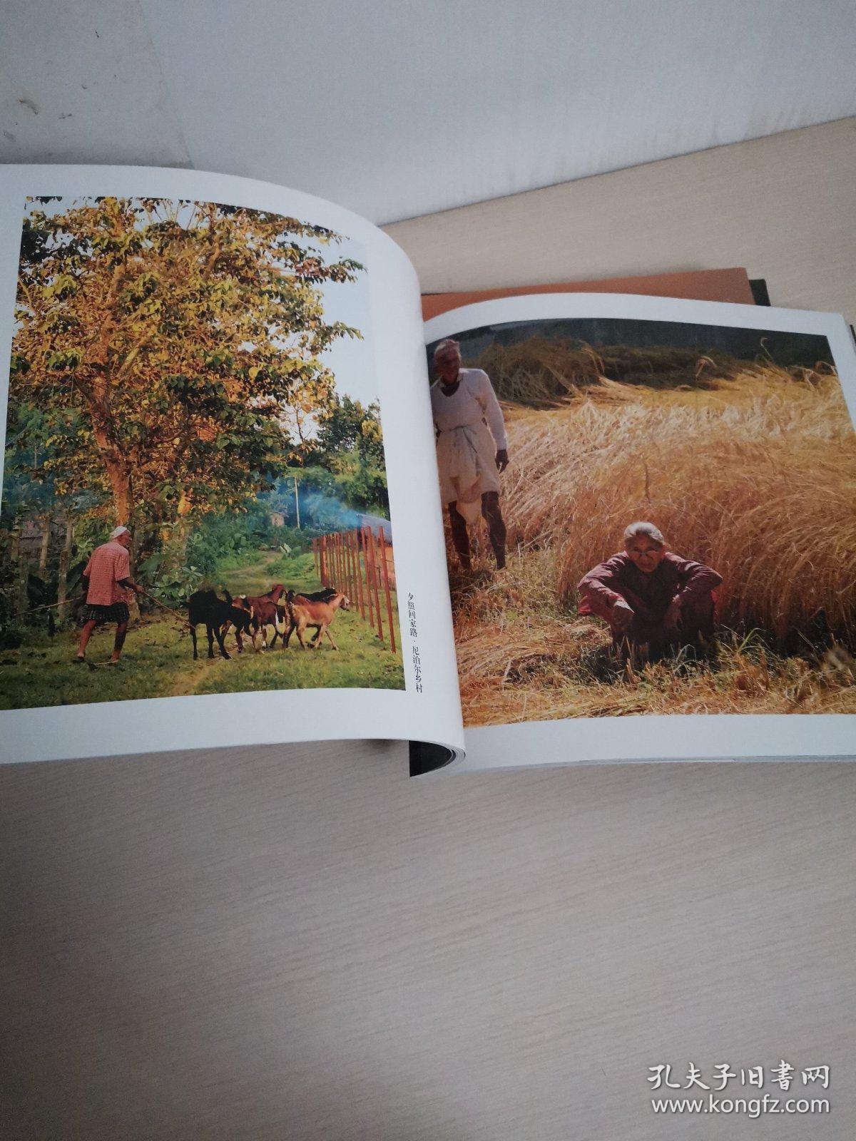 桑榆霞影：乐在光影间，银发金秋，我的老年摄影（三册）