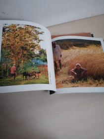 桑榆霞影：乐在光影间，银发金秋，我的老年摄影（三册）