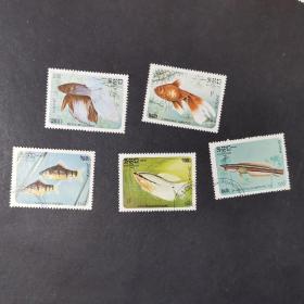 韩国邮票 ·鱼类5枚   精美动物邮票尺寸4.5×3.4公分