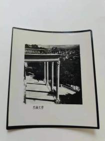 云南大学校园风景  黑白老照片 原版。.8厘米。45元