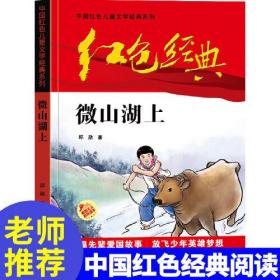 中国红色儿童文学经典系列：微山湖上