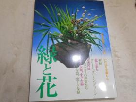 草月流『緑と花』 绿和花 草月特选系列 いけばなを楽しむ 绝版 品好包邮