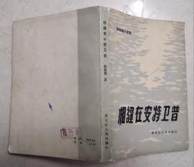 相逢在安特卫普