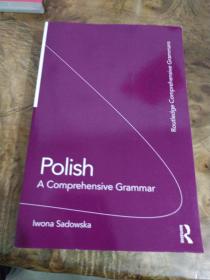 Polish：A Comprehensive Grammar