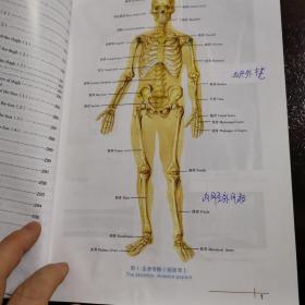 全彩人体解剖学图谱  第二版
2015年一版一印
赵小云 潘开昌  主编
第二军医大学出版社出版