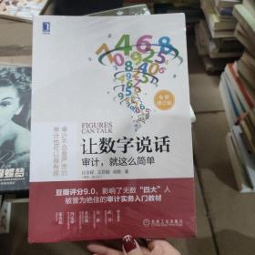 让数字说话：审计，就这么简单