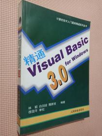 精通Visual basic 3.0 for windows