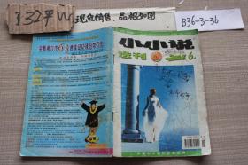 小小说选刊 2004 6