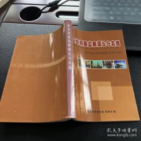 企业效能监察理论与实践