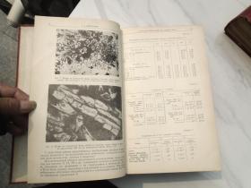 原版外文书，地球化学，1961年1-12期；1963年1-12期报（共24期，16开精装合订成2本，原版正版。详见书影）放在地下室外文类处