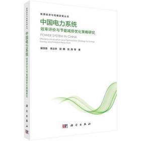 中国电力系统效率评价与节能减排优化策略研究