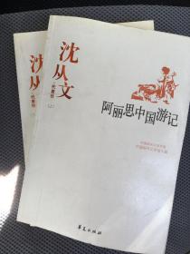 沈从文代表作（全二册）