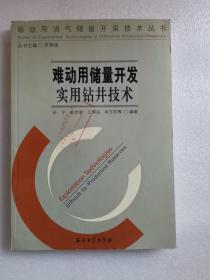 难动用油气储量开采技术丛书 难动用储量开发实用钻井技术