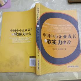 中国中小企业成长及软实力建设