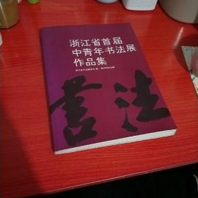 浙江省首届中青年书法展作品集